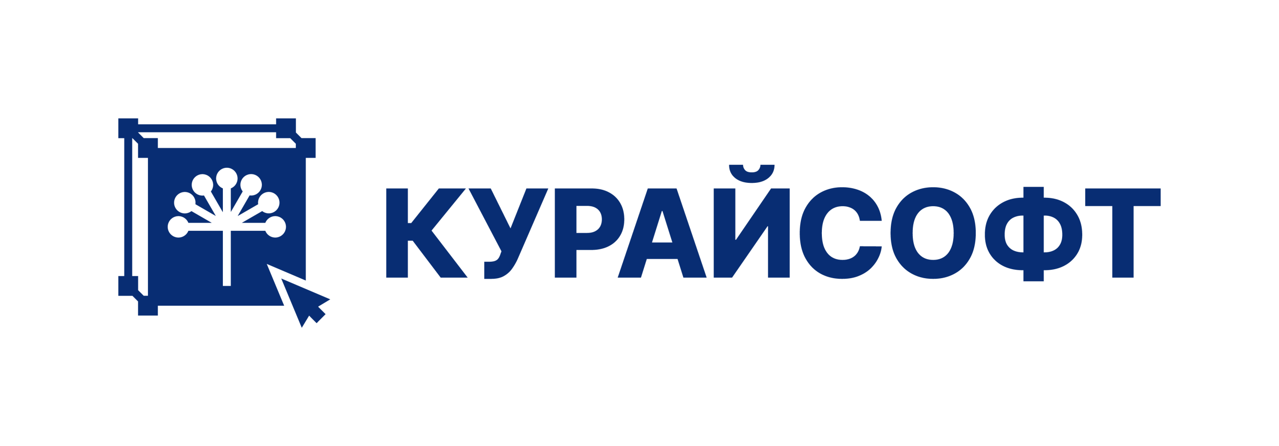 Компания Курайсофт